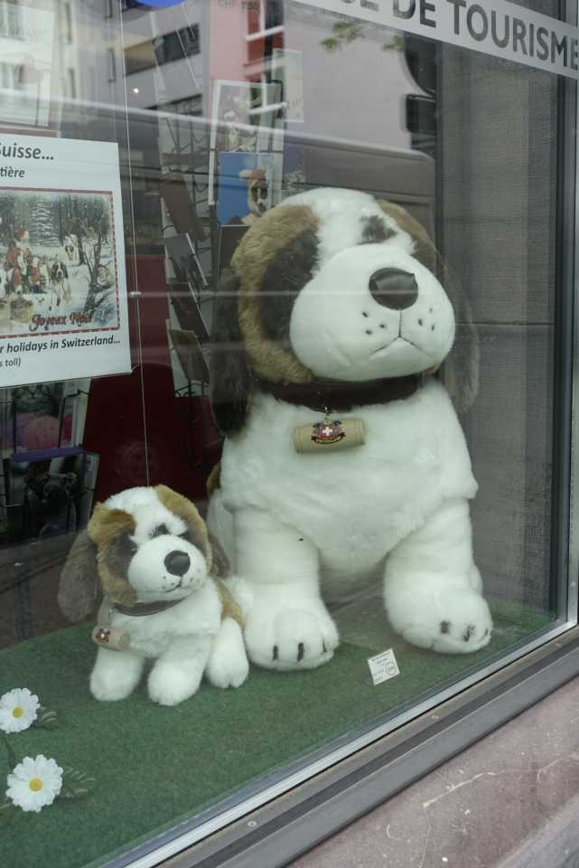 489667F8-4BE4-4D16-95B3-854A9468A554