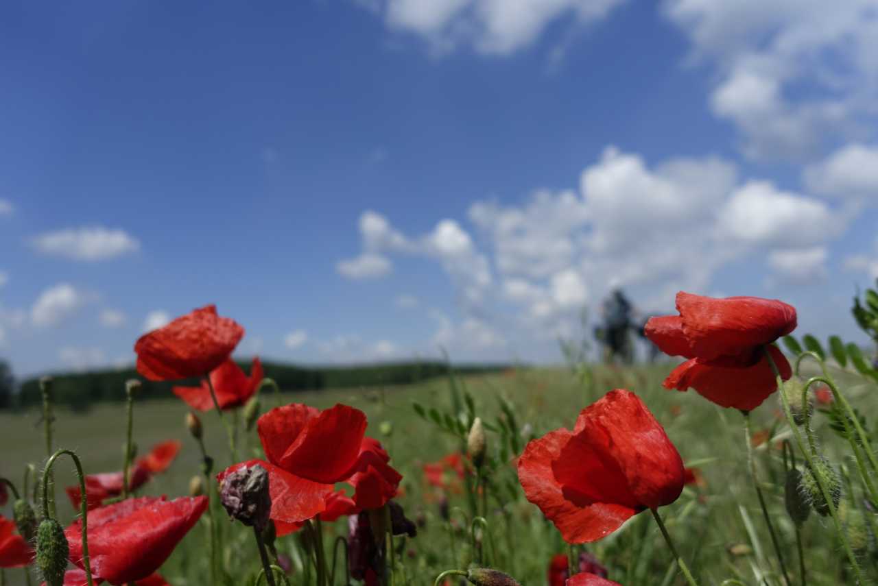 0652B445-D3D4-4BA0-95CE-1D5174C23F89