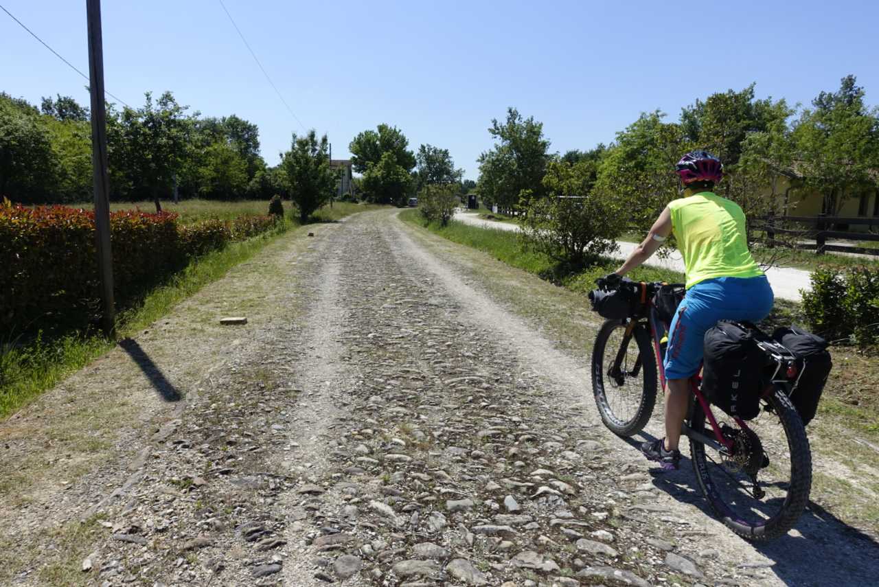 80DB7634-A04C-4C01-883B-BA5F0BEDE615