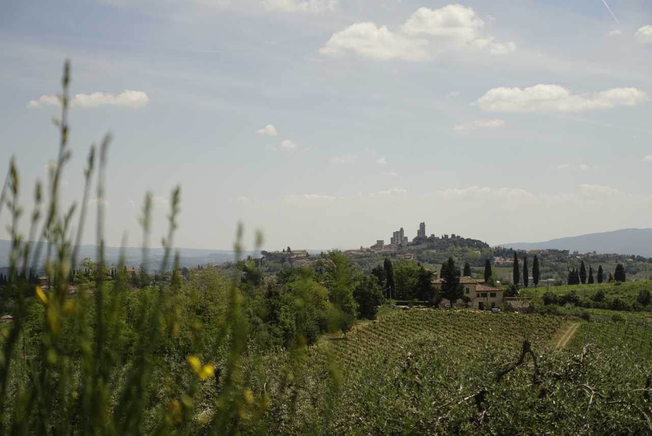 91C26DAF-3E8D-4E27-87DC-9484DD7DD12F