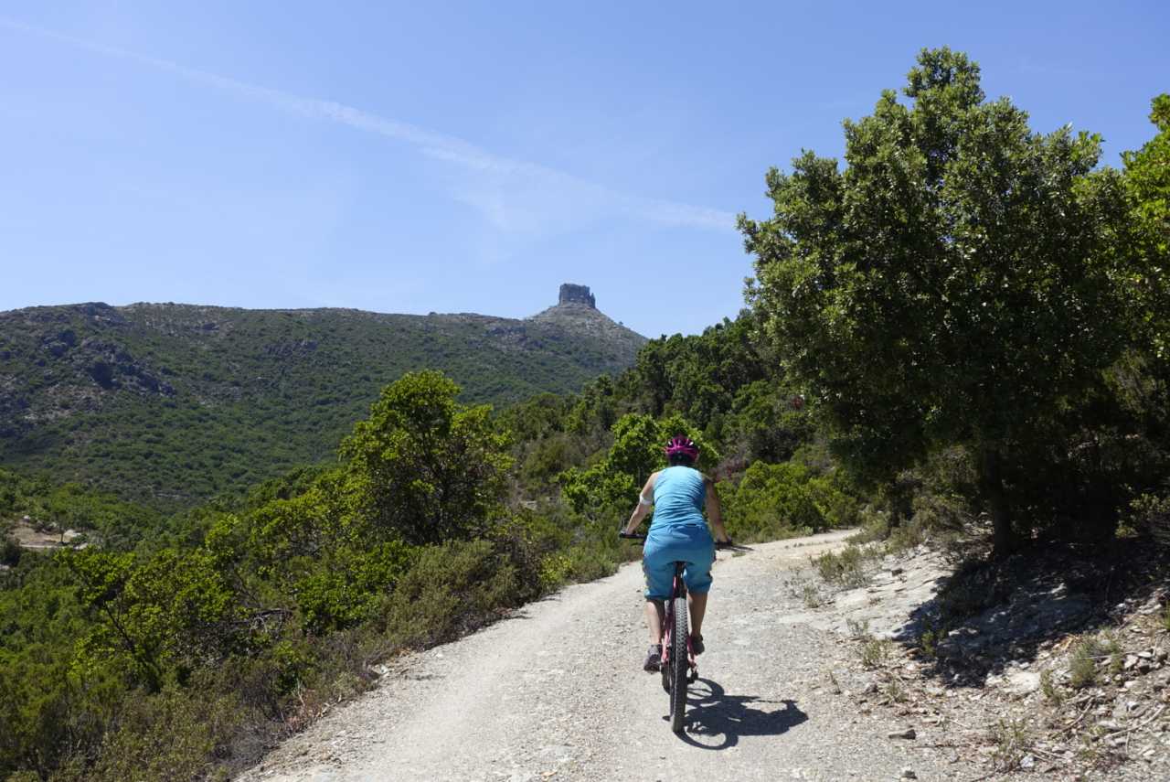 20BDC2E8-1935-4A78-A7A2-9DE78E38425D