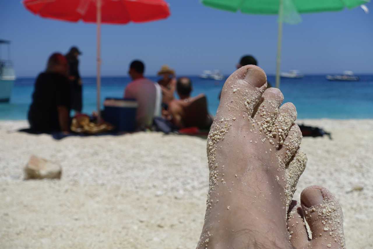 A72E1FB6-2E35-4A26-8582-B97DADC73C96