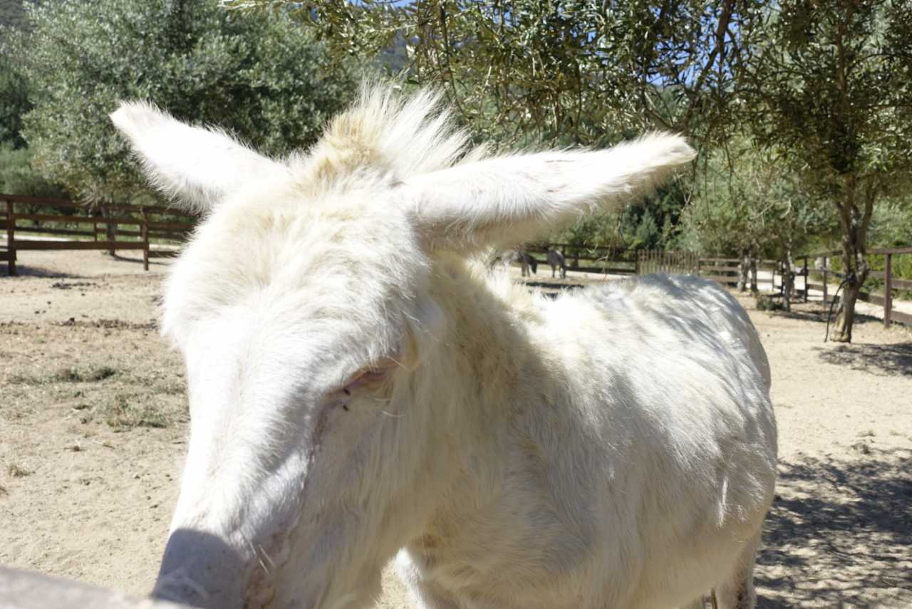 7221B55A-11C0-4FC0-AF56-67BCD1973411