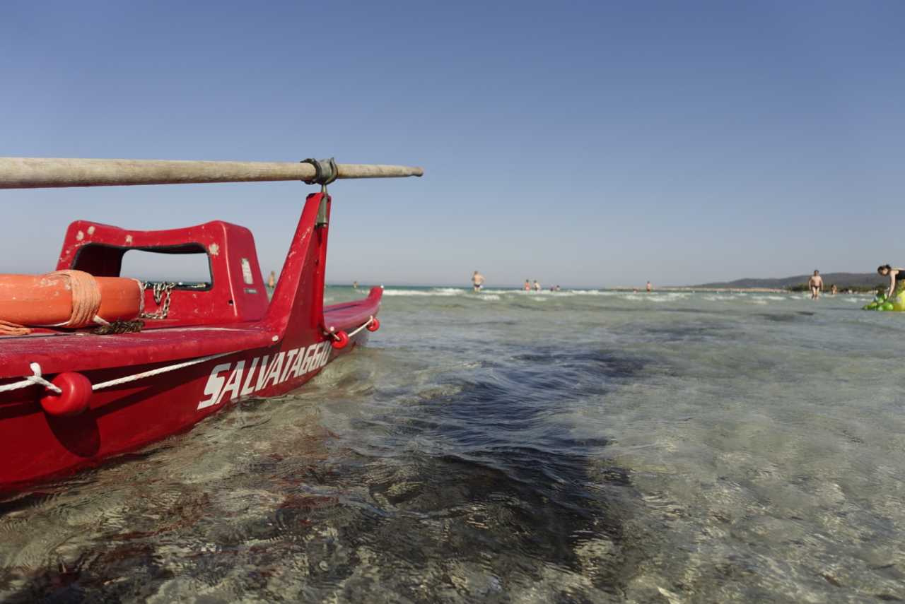 58C3FC7E-54E5-4650-BCEA-BB95D8CBC646